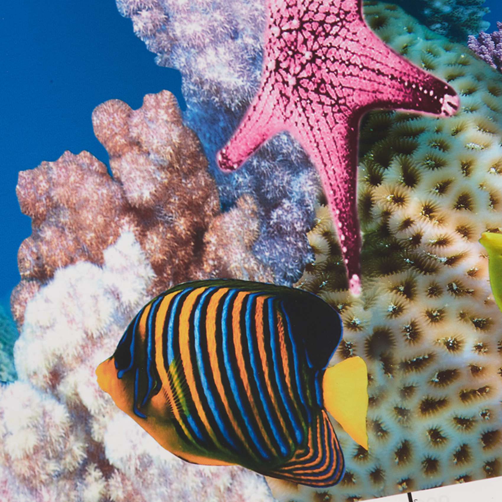 Aquarium Fish Wallpaper - ABWR-水族館背景紙 HD画像 7D立体水槽壁紙背景画 両面水槽デコレーション