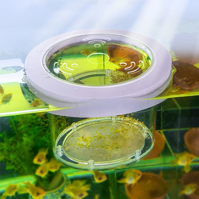 Aquarium Fish And Supplies - 中断された水槽の分離ボックス透明なアクリルインキュベーター多機能とげのある魚用品