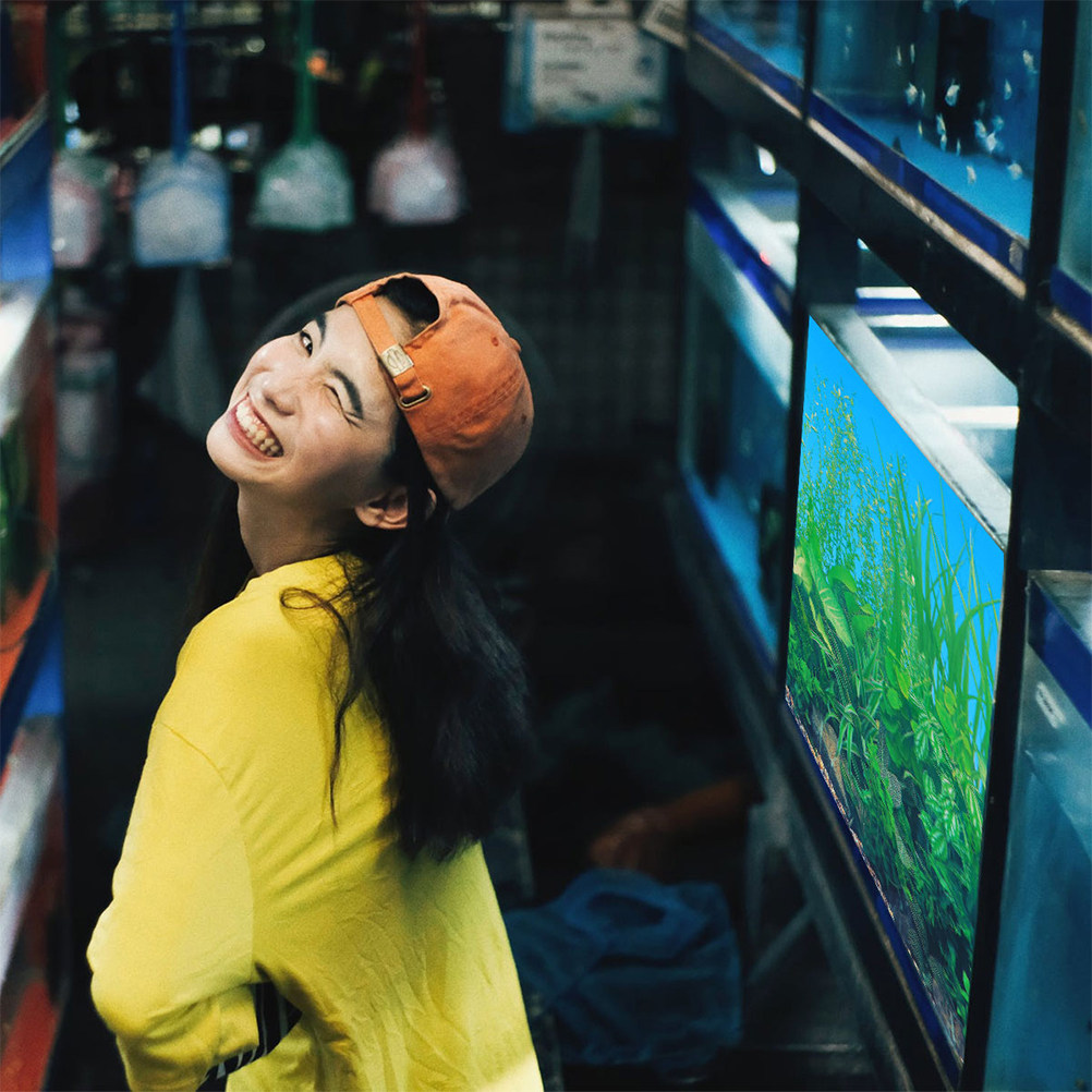 Aquarium Fish Wallpaper - 水槽用背景紙 厚手 色褪せなし 安全な水中ポスター 壁紙 水族館装飾