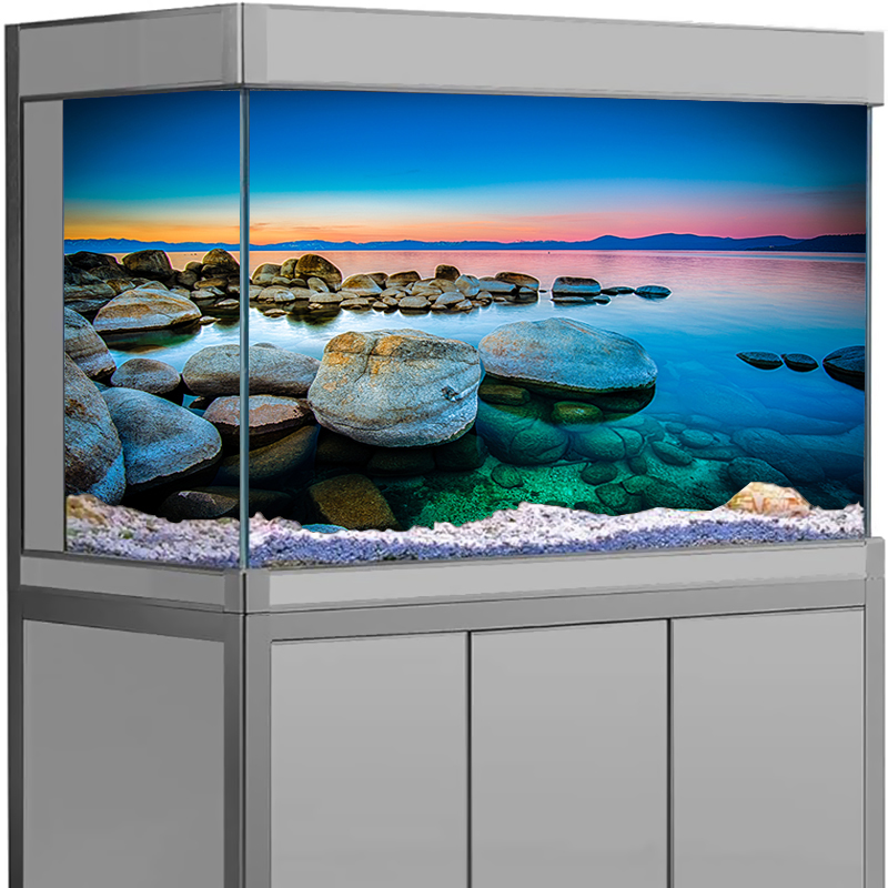 Aquarium Fish Wallpaper - 水槽背景ステッカー 石 海景ポスター 魚タンク装飾 自己粘着壁紙 3D背景