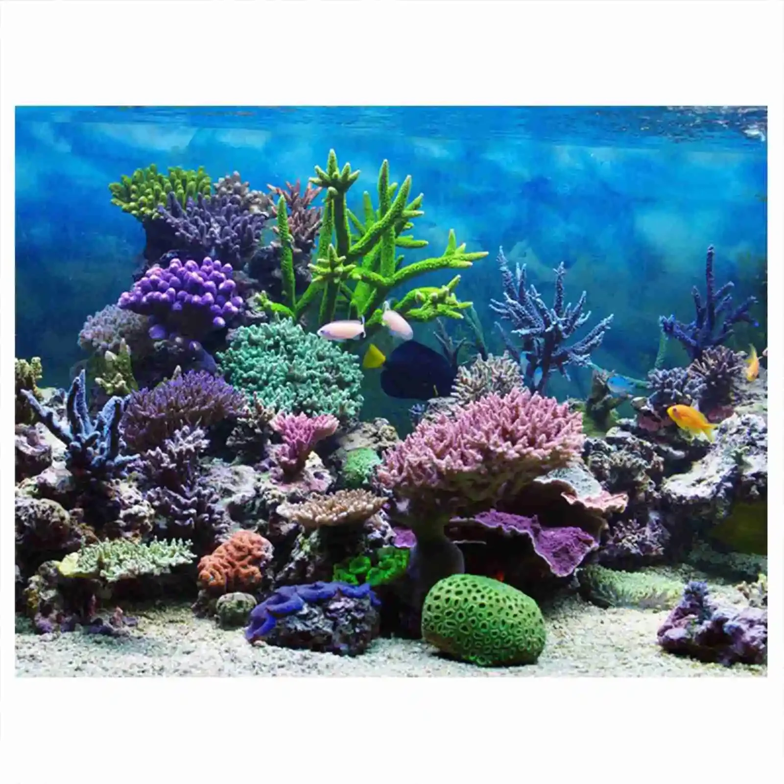Aquarium Fish Wallpaper - 熱帯雨林の壁紙,水族館の背景,PVC装飾,3D風景HDポスター