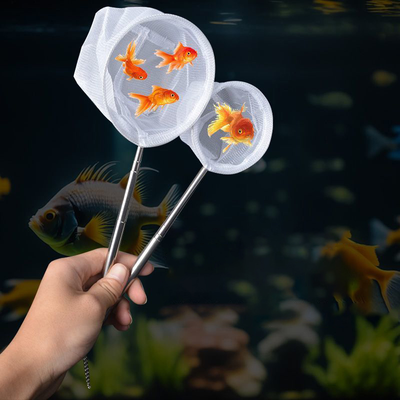 (BF06)水族館の魚釣り網ステンレス鋼格納式小型エビ釣り網 - Aquarium Fish Trap のレビューと価格