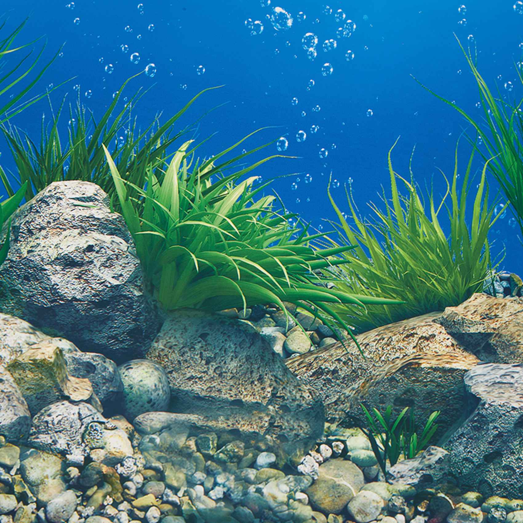 ABWR-水族館背景紙 HD画像 7D立体水槽壁紙背景画 両 - Aquarium Fish Wallpaper のレビューと価格