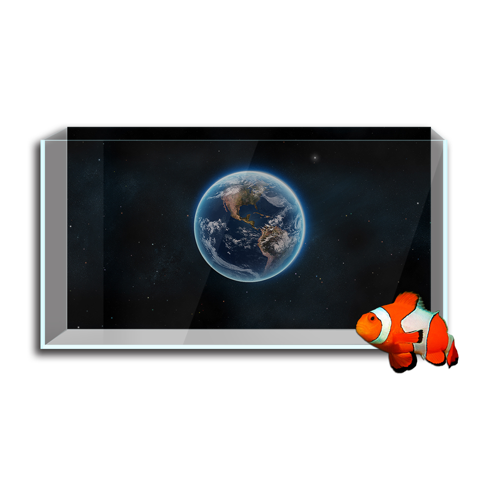 水槽の背景ステッカー,地球の地球の惑星のHD印刷の壁紙,背景 - Aquarium Fish Wallpaper のレビューと価格