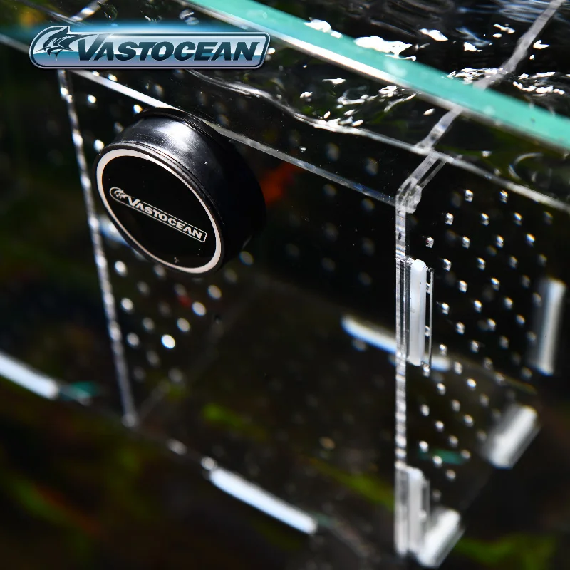 Vastocean-磁気コンビネーションアクリル水槽隔離ボッ - Aquarium Fish And Supplies のレビューと価格