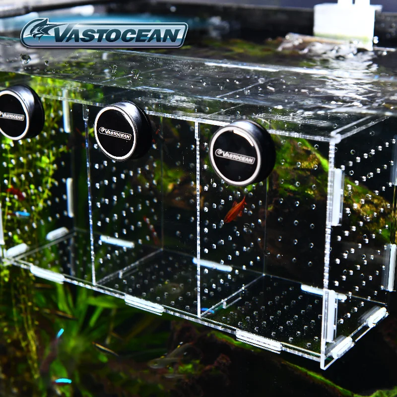 Vastocean-磁気コンビネーションアクリル水槽隔離ボッ - Aquarium Fish And Supplies のレビューと価格