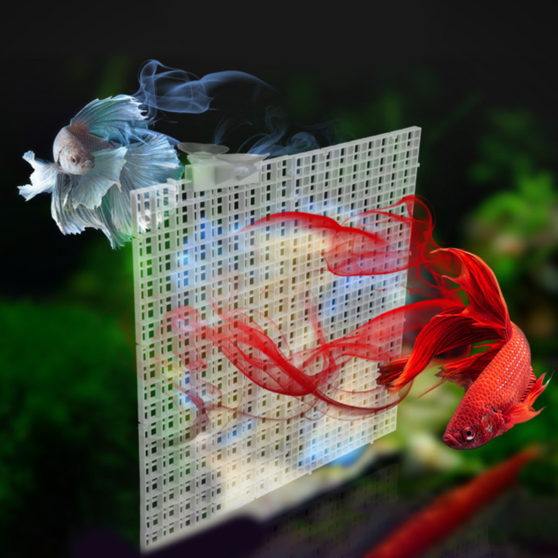 水槽分離用グリッド仕切りプレート,取り外し可能,接続可能,上 - Aquarium Fish Trap のレビューと価格