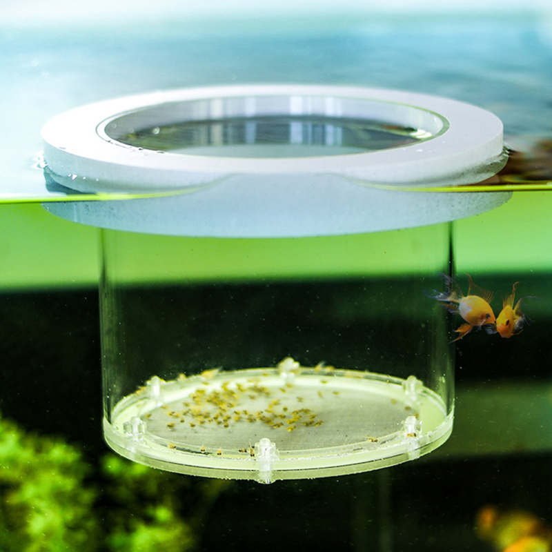 中断された水槽の分離ボックス透明なアクリルインキュベーター多 - Aquarium Fish And Supplies のレビューと価格