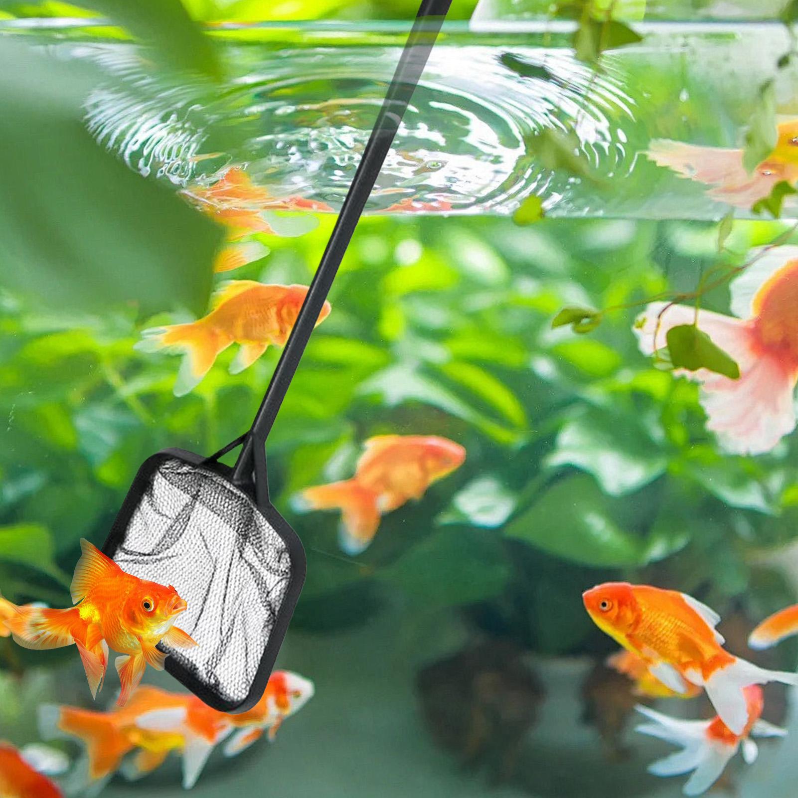 プールネット 清掃用 ポータブルプールストレーナーネット 噴 - Aquarium Fish Trap のレビューと価格