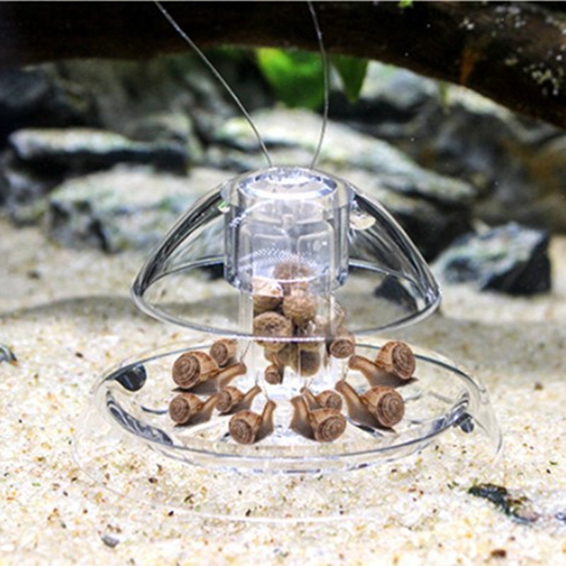 1 個水槽水族館クリーナーカタツムリトラップキャッチャー植物 - Aquarium Fish Trap のレビューと価格