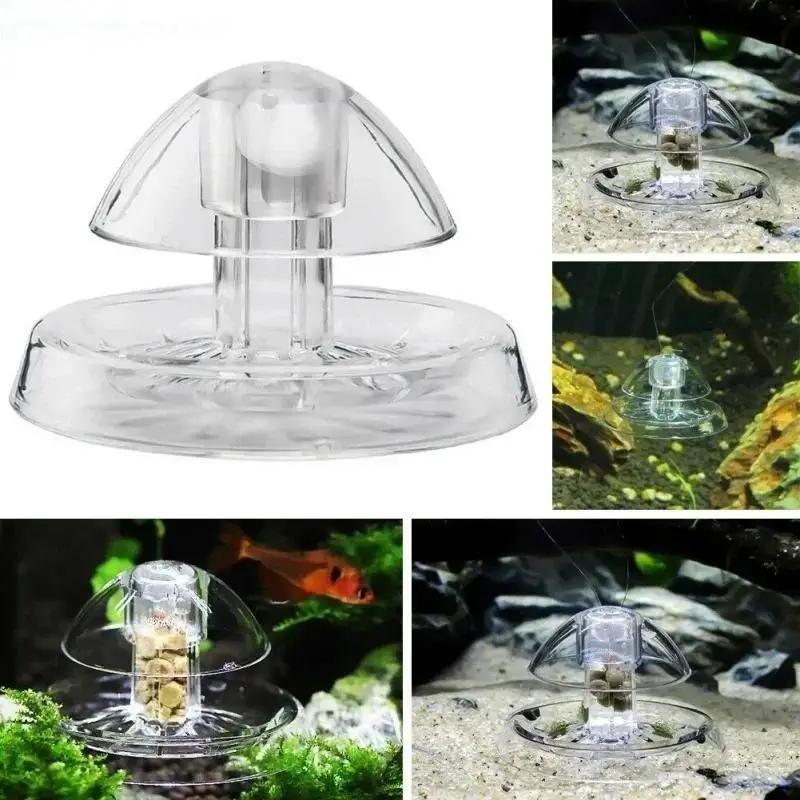 2026年新発売 6/8CM 透明プラスチック製カタツムリ捕 - Aquarium Fish And Supplies のレビューと価格