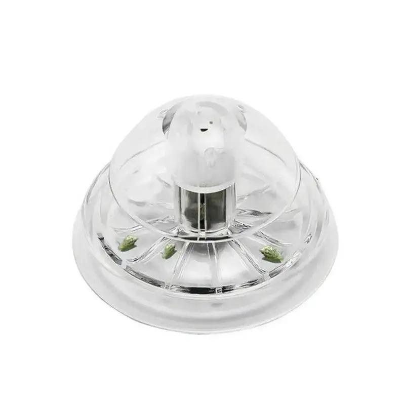 2026年新発売 6/8CM 透明プラスチック製カタツムリ捕 - Aquarium Fish And Supplies のレビューと価格