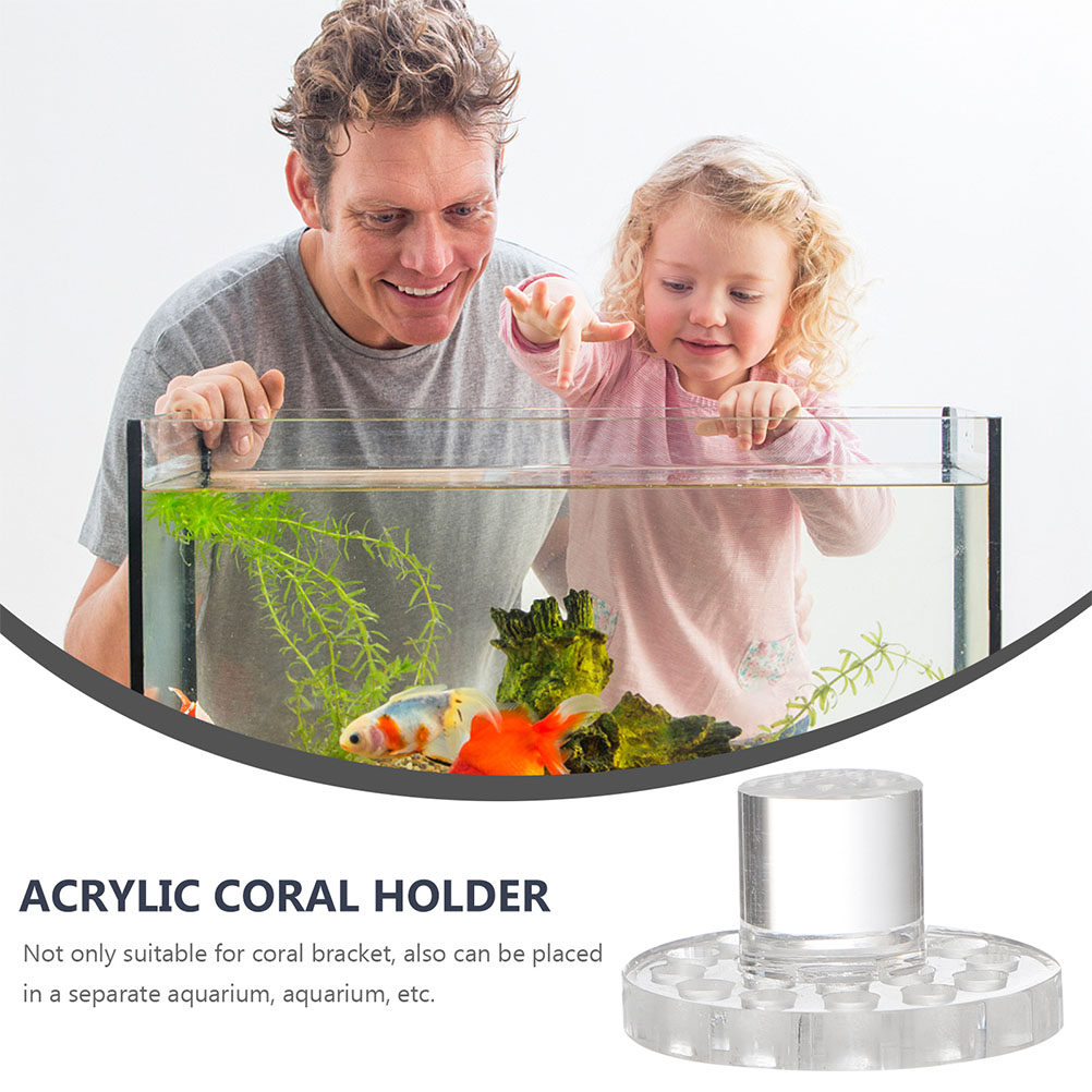 10 個アクリルコーラルフラグラックベースラウンド透明コーラ - Aquarium Fish And Supplies のレビューと価格