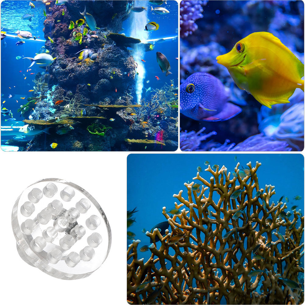 10 個アクリルコーラルフラグラックベースラウンド透明コーラ - Aquarium Fish And Supplies のレビューと価格