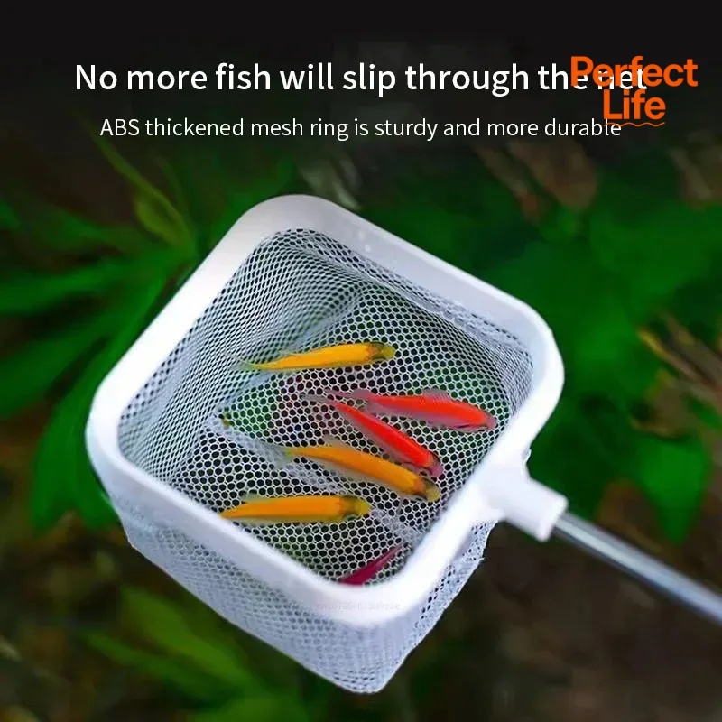 1、2個入りステンレス鋼製釣り用ランディングネット、防錆耐腐 - Aquarium Fish Trap のレビューと価格