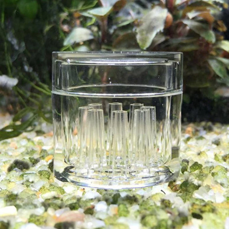 水族館用の透明なプラスチック製の水槽,サイレントの殺虫剤の害 - Aquarium Fish Trap のレビューと価格