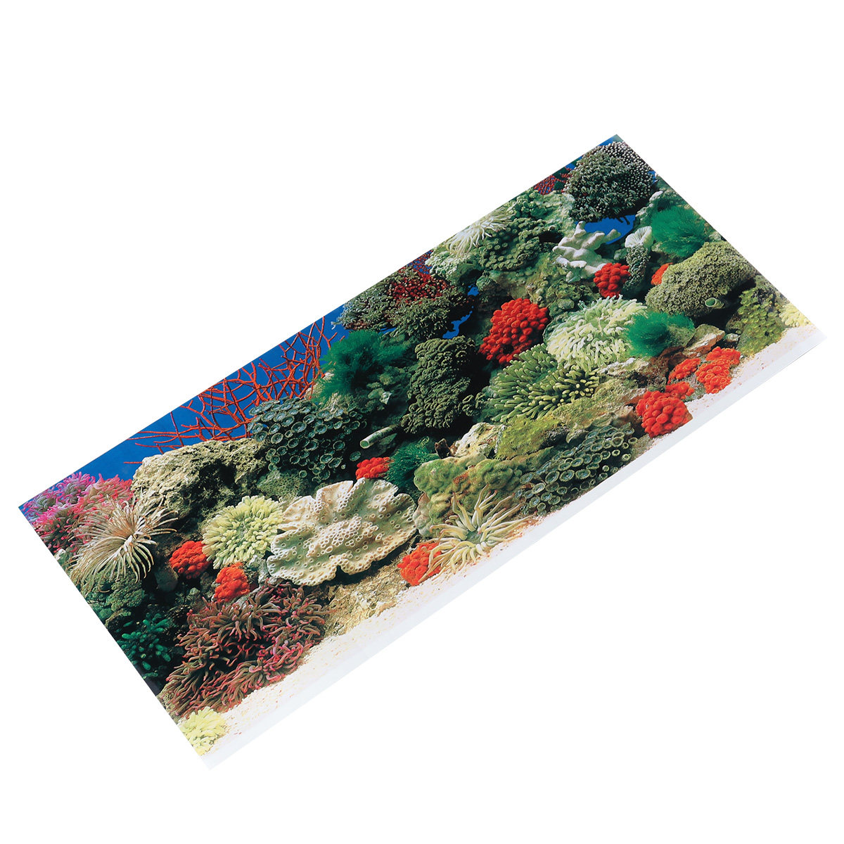 42cm粘着式壁紙水槽背景ステッカーおしゃれな水槽アクセサリ - Aquarium Fish Wallpaper のレビューと価格