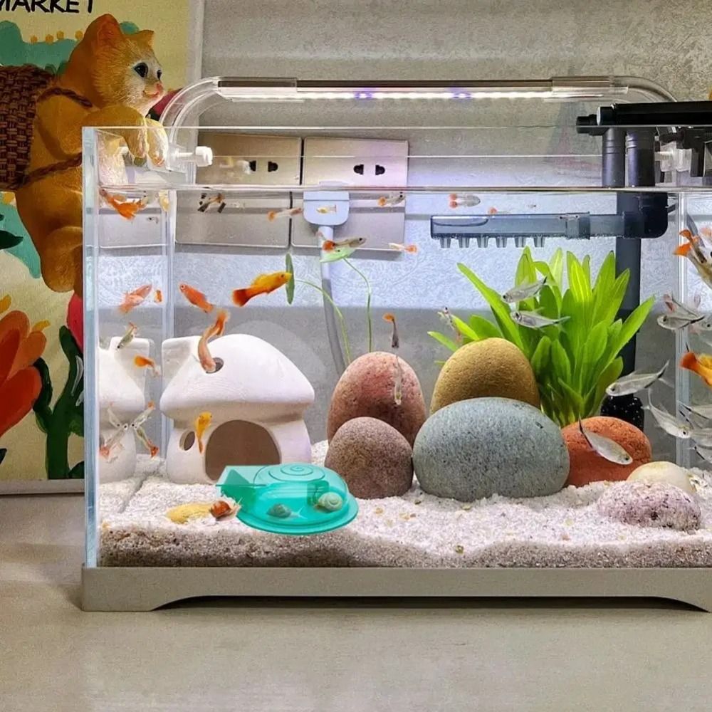 淡水海水水槽カタツムリトラップ効果的な多目的カタツムリ捕獲器 - Aquarium Fish Trap のレビューと価格