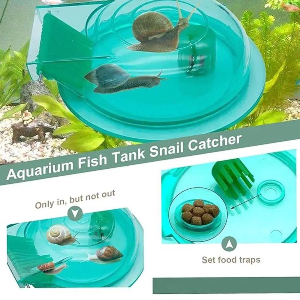 淡水海水水槽カタツムリトラップ効果的な多目的カタツムリ捕獲器 - Aquarium Fish Trap のレビューと価格