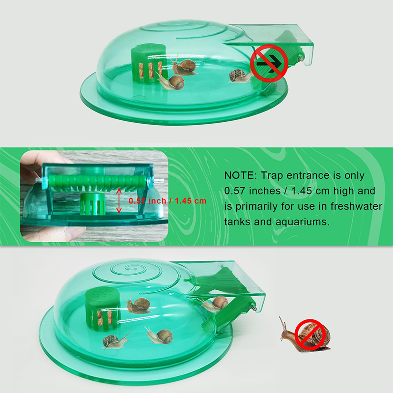 水槽用カタツムリトラップ、淡水魚水槽用プラスチック製カタツム - Aquarium Fish Trap のレビューと価格