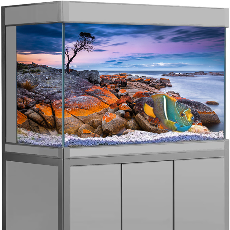 水槽背景ステッカー 石 海景ポスター 魚タンク装飾 自己粘着 - Aquarium Fish Wallpaper のレビューと価格