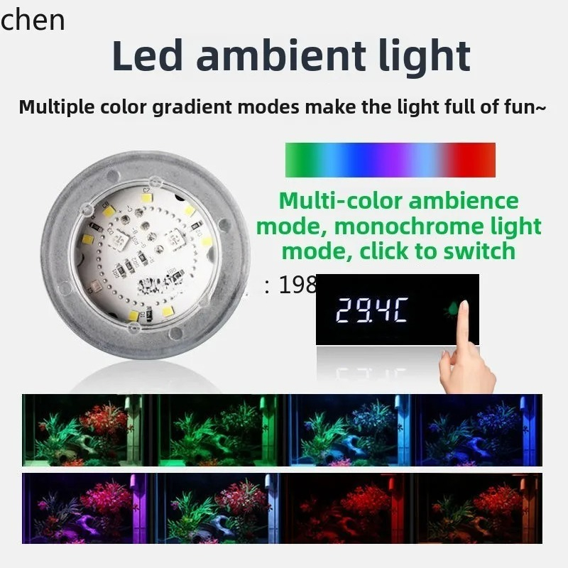 超白ガラス製小型水槽、水換え不要で酸素供給可能、リビングルー - Aquarium Fish Without Oxygen のレビューと価格