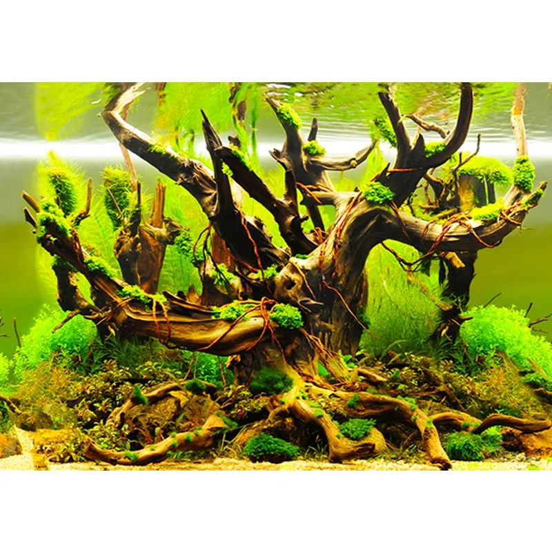 50cm水槽装飾防水厚手背景両面魚タンク壁紙 - Aquarium Fish Wallpaper のレビューと価格