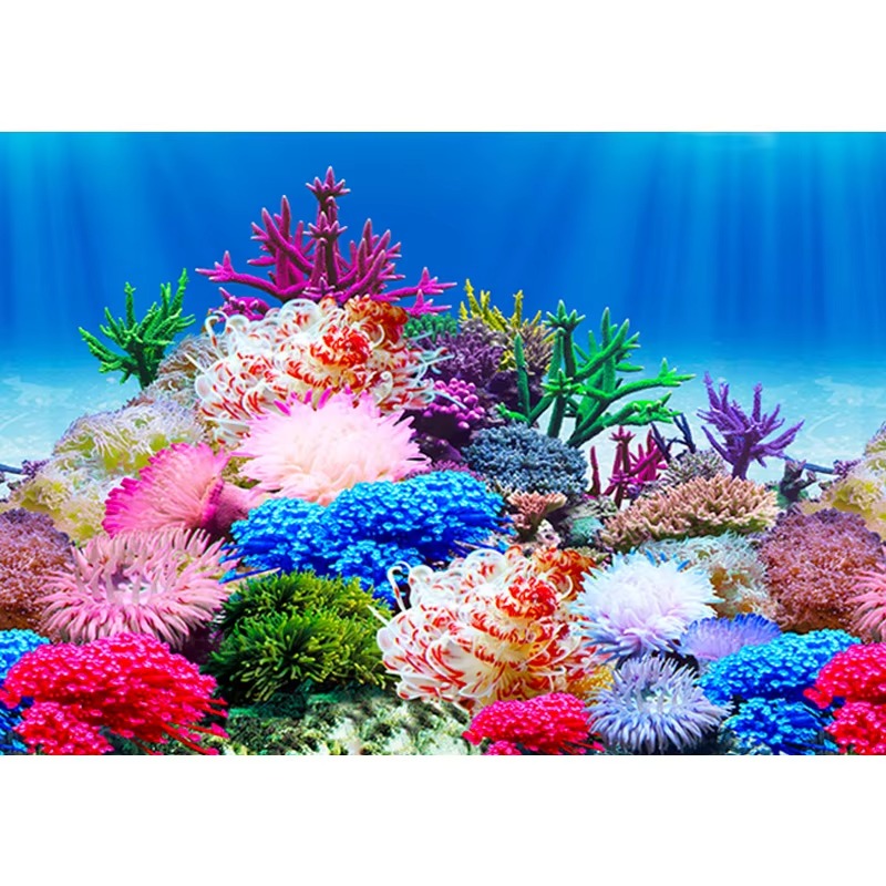 50cm水槽装飾防水厚手背景両面魚タンク壁紙 - Aquarium Fish Wallpaper のレビューと価格
