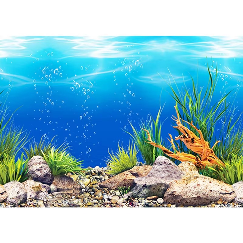 50cm水槽装飾防水厚手背景両面魚タンク壁紙 - Aquarium Fish Wallpaper のレビューと価格