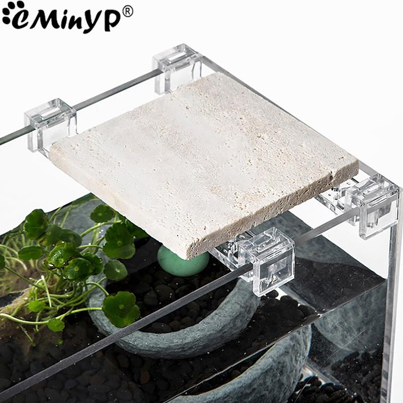 4 個の水槽アクリルクリップ 5.5 ミリメートル〜 15  - Aquarium Fish And Supplies のレビューと価格