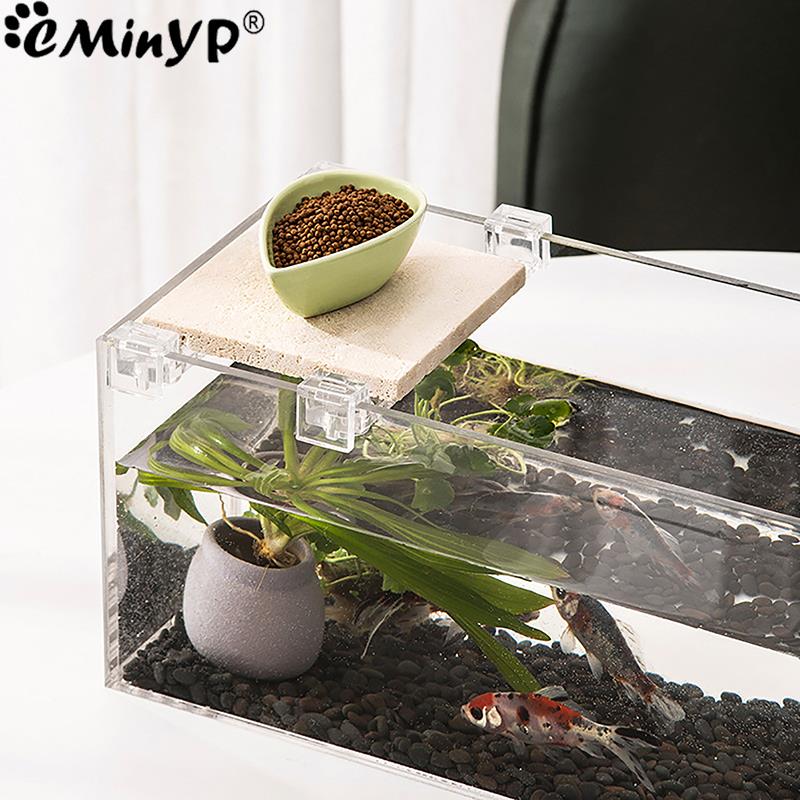 4 個の水槽アクリルクリップ 5.5 ミリメートル〜 15  - Aquarium Fish And Supplies のレビューと価格