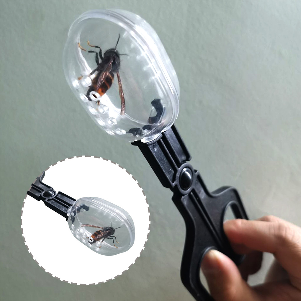 ポータブル透明昆虫キャッチャーはさみ屋内屋外子供水槽バグスク - Aquarium Fish Trap のレビューと価格