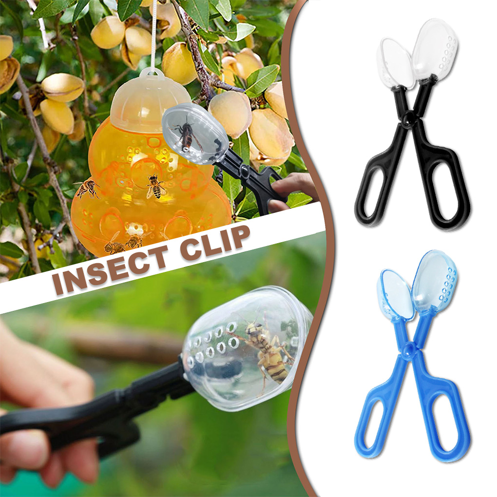 ポータブル透明昆虫キャッチャーはさみ屋内屋外子供水槽バグスク - Aquarium Fish Trap のレビューと価格