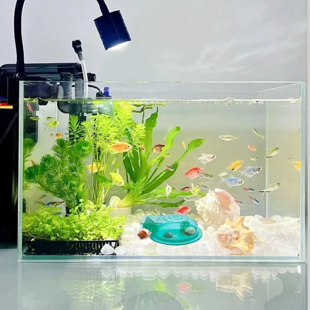 淡水・海水水槽用カタツムリトラップ 多目的効果的なカタツムリ - Aquarium Fish Trap のレビューと価格
