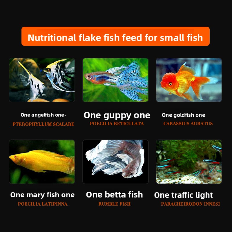DaJiaWa スピルリナフレーク魚用飼料 小型熱帯魚用 - - Tetra Food Tropical Flakes のレビューと価格