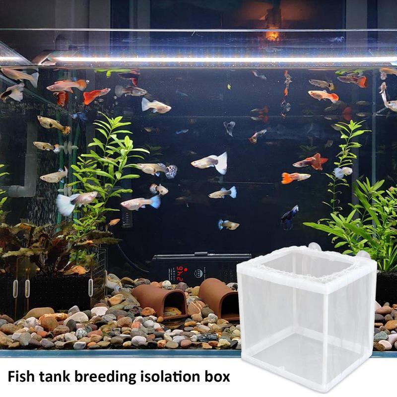 吸引付き魚飼育箱、水族館孵化器、メッシュボックス、稚魚分離ネ - Aquarium Fish Trap のレビューと価格