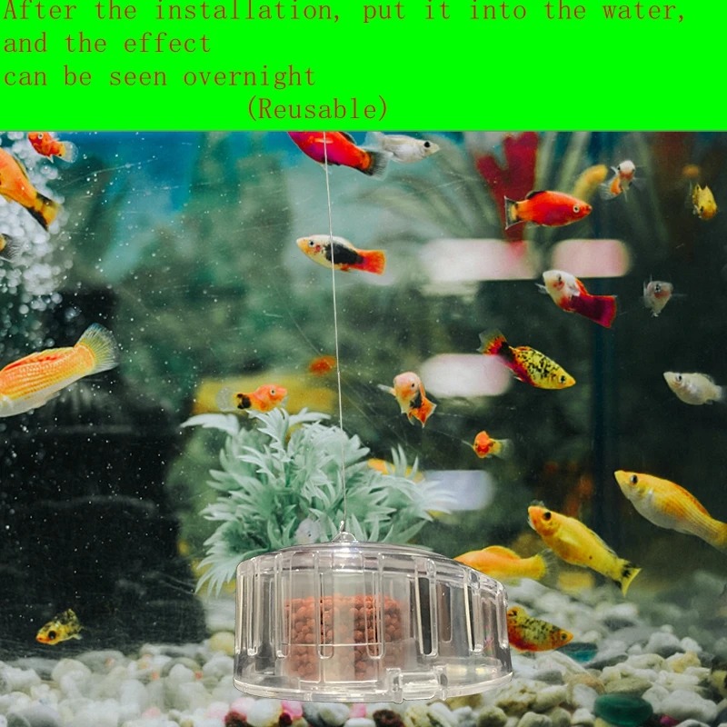 水族館のプラスチック製の帆布,魚の岩の城,害虫のハエのクリー - Aquarium Fish Trap のレビューと価格