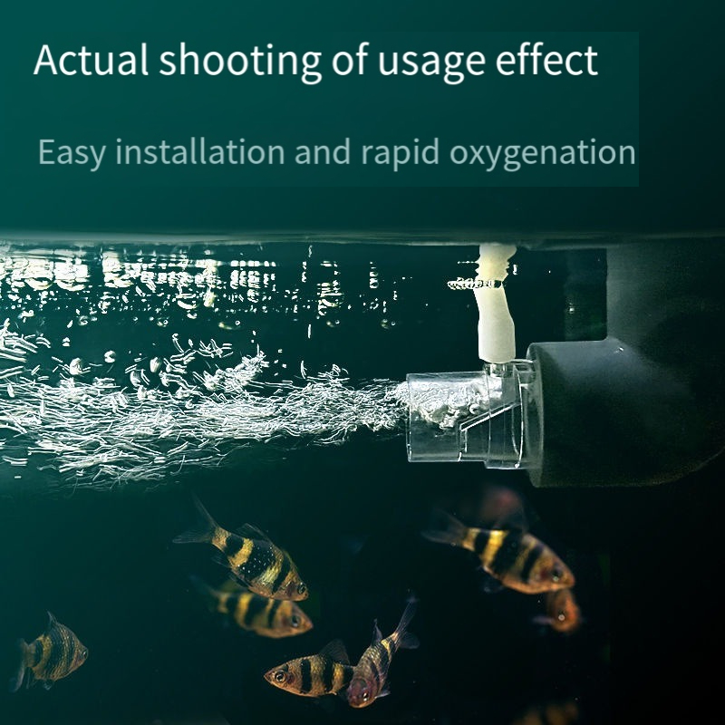 水出口の酸素ディフューザーパイプフィルター水槽は酸素を拡散し - Aquarium Fish Without Oxygen のレビューと価格