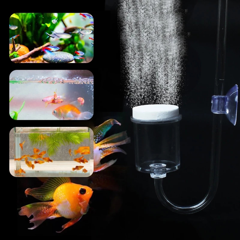 水族館用CO2ディフューザー,日曜大工のガラスタンク,バブル - Co2 Diffuser Planted のレビューと価格