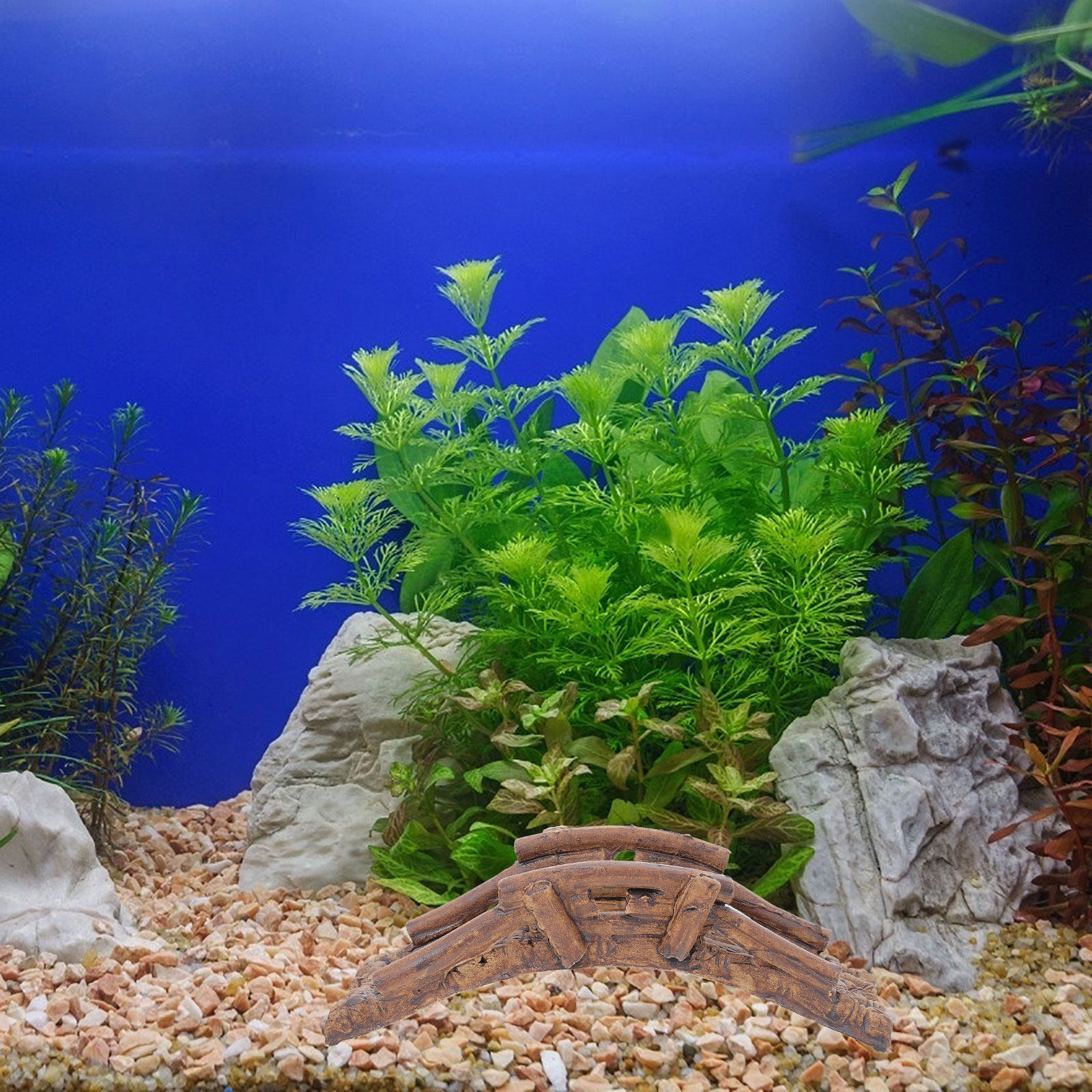 2個セット 魚タンク装飾橋 セラミック製カメ登り台 水生装飾 - Aquarium Fish Bridge のレビューと価格